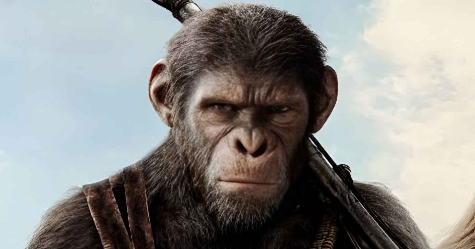 Planet of Apes