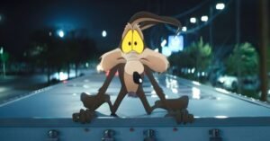 Coyote vs. Acme